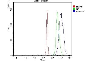 Flow Cytometry analysis of HL-60 cells using anti-RASSF2 antibody (ABIN7599274). (RASSF2 antibody  (AA 1-326))