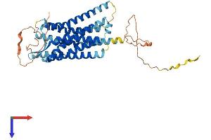Urotensin 2 Receptor (UTS2R) (AA 1-389) protein (His tag)