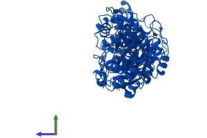 Protein Structure (PS) image for Transketolase (TKT) (AA 1-623) protein (His tag) (ABIN7563211)