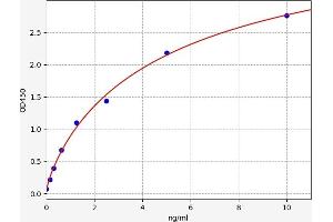 Typical standard curve (Ubiquilin 1 ELISA Kit)
