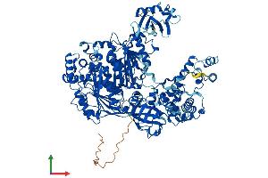Protein Structure (PS) image for Ubiquitin-Like Modifier Activating Enzyme 6 (UBA6) (AA 1-1052) protein (His tag) (ABIN7555933)