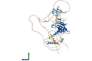 Protein Structure (PS) image for Tumor Protein P73 (TP73) (AA 1-631) protein (His tag) (ABIN7561597)