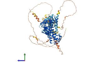Protein Structure (PS) image for Neuronal Guanine Nucleotide Exchange Factor (NGEF) (AA 1-710) protein (His tag) (ABIN7564588)