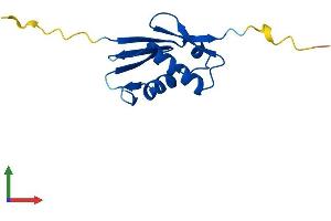 AlphaFold protein structure predicition of Human Recombinant RPL22L1 Protein, UniprotID Q6P5R6 (RPL22/L1 Protein (AA 1-122) (His tag))