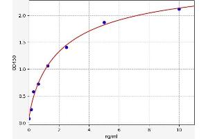 Typical standard curve (SERPINA11 ELISA Kit)