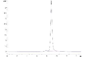 The purity of Human GFRA3 is greater than 95 % as determined by SEC-HPLC.
