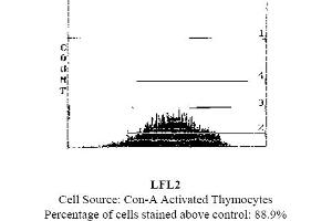 Mouse anti CD25 (IL-2 receptor alpha chain) OX-39 (CD25 antibody)