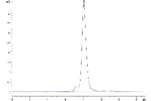 The purity of Cynomolgus TREM1 is greater than 95 % as determined by SEC-HPLC. (TREM1 Protein (AA 21-201) (His tag))