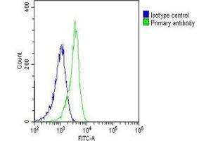 Overlay histogram showing HL-60 cells stained with B(green line). (ALDOC antibody)