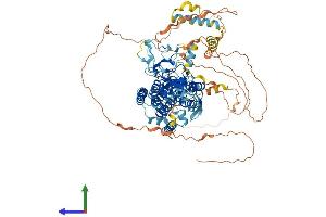 Protein Structure (PS) image for Rhomboid 5 Homolog 2 (RHBDF2) (AA 1-856) protein (His tag) (ABIN7555174)