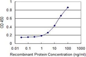 Detection limit for recombinant GST tagged IL1RAP is 0. (IL1RAP antibody  (AA 1-356))