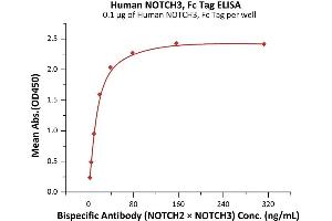 Immobilized Human NOTCH3, Fc Tag (ABIN6992329) at 1 μg/mL (100 μL/well) can bind Bispecific Antibody (NOTCH2 x NOTCH3) with a linear range of 2-20 ng/mL (QC tested). (NOTCH3 Protein (AA 40-467) (Fc Tag))