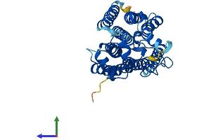 Protein Structure (PS) image for Progestin and AdipoQ Receptor Family Member V (PAQR5) (AA 1-330) protein (His tag) (ABIN7549459)