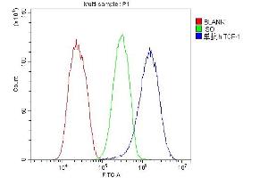Flow Cytometry analysis of HepG2 cells using anti-TCP1 alpha antibody (ABIN5693078). (TCP1 alpha/CCTA antibody  (C-Term))