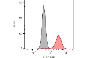 Separation of HLA-G transfected LCL cells (red) from K562 cells (black) in flow cytometry analysis (surface staining) stained using anti-HLA-G (01G) FITC antibody (concentration in sample 27 μg/mL). (HLAG antibody  (FITC))