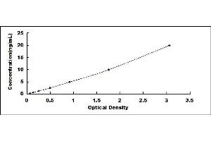 Typical standard curve (Caspase 1 ELISA Kit)