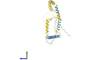 AlphaFold protein structure predicition of Mouse Recombinant Tpd52l2 Protein, UniprotID Q9CYZ2 (TPD52L2 Protein (AA 1-220) (His tag))