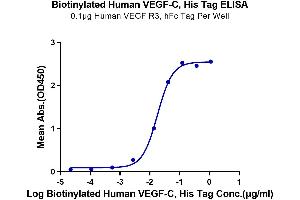 Immobilized Human VEGF R3, hFc Tag at 1 μg/mL (100 μL/well) on the plate.