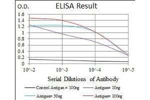 Image no. 4 for anti-delta-Like 4 (DLL4) antibody (ABIN1497856) (DLL4 antibody)