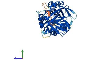 Protein Structure (PS) image for serpin Peptidase Inhibitor, Clade B (Ovalbumin), Member 8 (SERPINB8) (AA 1-374) protein (His tag) (ABIN7562208)
