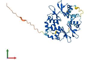 Protein Structure (PS) image for Protein Kinase, AMP-Activated, gamma 1 Non-Catalytic Subunit (PRKAG1) (AA 1-331) protein (His tag) (ABIN7551868)