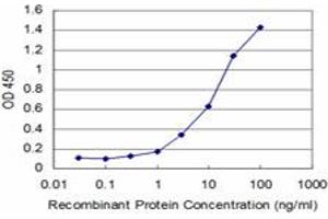 Detection limit for recombinant GST tagged FGF8 is approximately 0. (FGF8 antibody  (AA 65-133))