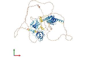 Protein Structure (PS) image for Amyloid beta (A4) Precursor Protein-Binding, Family A, Member 2 (APBA2) (AA 1-749) protein (His tag) (ABIN7552309)