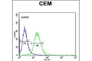 Flow Cytometry (FACS) image for anti-gamma-aminobutyric Acid (GABA) A Receptor, alpha 4 (GABRA4) (AA 350-377) antibody (ABIN653246)