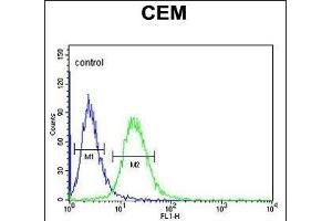GABRA4 Antibody (Center) (ABIN653246 and ABIN2842771) flow cytometric analysis of CEM cells (right histogram) compared to a negative control cell (left histogram). (GABRA4 antibody  (AA 350-377))