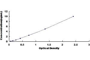Stearoyl-CoA Desaturase (Delta-9-Desaturase) (SCD) ELISA Kit