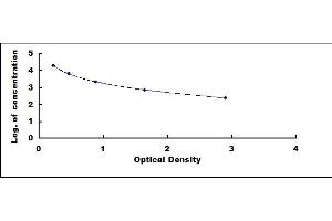 Typical standard curve (Synaptophysin ELISA Kit)