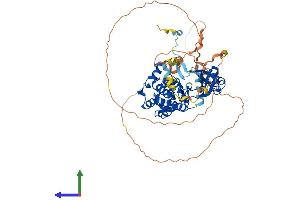 AlphaFold protein structure predicition of Human Recombinant PAK4 Protein, UniprotID O96013 (PAK4 Protein (AA 1-591) (His tag))