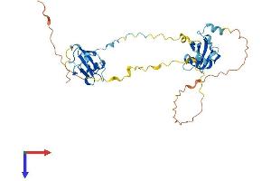 AlphaFold protein structure predicition of Mouse Recombinant Dcdc2c Protein, UniprotID Q9D1B8 (DCDC2C Protein (AA 1-347) (His tag))