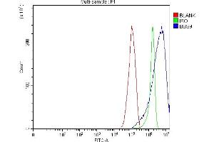 Flow Cytometry analysis of RT4 cells using anti-BBS9 antibody (ABIN7601518). (BBS9 antibody  (AA 37-793))