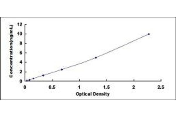 GDF1 ELISA Kit