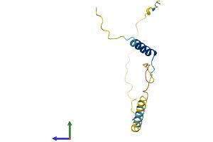 AlphaFold protein structure predicition of Human Recombinant C1orf21 Protein, UniprotID Q9H246 (C1ORF21 Protein (AA 1-121) (His tag))