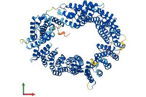 AlphaFold protein structure predicition of Human Recombinant IPO13 Protein, UniprotID O94829 (IPO13 Protein (AA 1-963) (His tag))