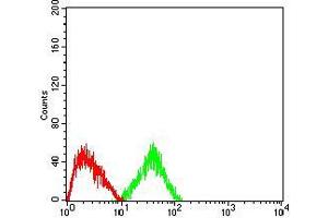 Flow cytometric analysis of HepG2 cells using CD2 mouse mAb (green) and negative control (red). (CD2 antibody  (AA 25-140))