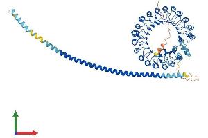 AlphaFold protein structure predicition of Human Recombinant FBXL13 Protein, UniprotID Q8NEE6 (FBXL13 Protein (AA 1-735) (His tag))
