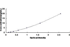 Typical Standard Curve for Human SOD4 ELISA.