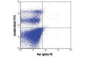 Flow Cytometry (FACS) image for anti-Fms-Related tyrosine Kinase 3 (FLT3) antibody (PE) (ABIN2663014) (FLT3 antibody  (PE))