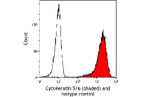 Flow Cytometry (FACS) image for anti-Keratin 5/6 (KRT5/6) (C-Term) antibody (ABIN7795769) (Recombinant Keratin 5/6 antibody  (C-Term))