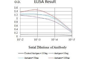 Black line: Control Antigen (100 ng),Purple line: Antigen (10 ng), Blue line: Antigen (50 ng), Red line:Antigen (100 ng) (KLRK1 antibody  (AA 73-216))