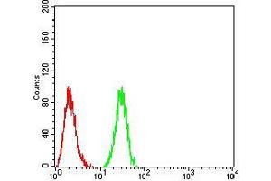 Flow cytometric analysis of HeLa cells using Rab3a mouse mAb (green) and negative control (red). (RAB3A antibody  (AA 1-220))