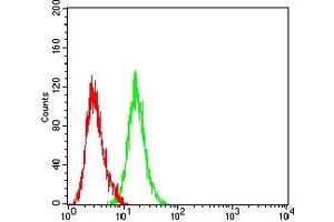 Flow cytometric analysis of HL-60 cells using CD5 mouse mAb (green) and negative control (red). (CD5 antibody  (AA 25-372))