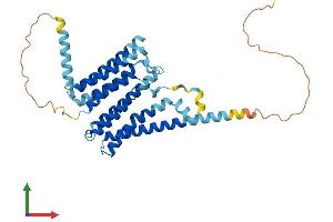 AlphaFold protein structure predicition of Human Recombinant TMEM26 Protein, UniprotID Q6ZUK4 (TMEM26 Protein (AA 1-368) (His tag))