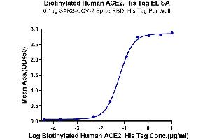 Immobilized SARS-COV-2 Spike RBD, His Tag at 1 μg/mL (100 μL/well) on the plate. (ACE2 Protein (His-Avi Tag,Biotin))