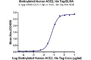 Immobilized SARS-COV-2 Spike RBD, His Tag at 1 μg/mL (100 μL/well) on the plate. (ACE2 Protein (His-Avi Tag,Biotin))
