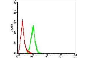 Flow cytometric analysis of Hela cells using TRADD mouse mAb (green) and negative control (red). (TRADD antibody  (AA 1-177))
