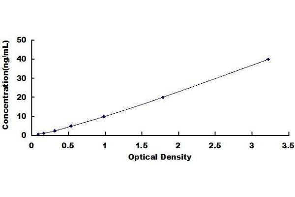 TOP2 ELISA Kit